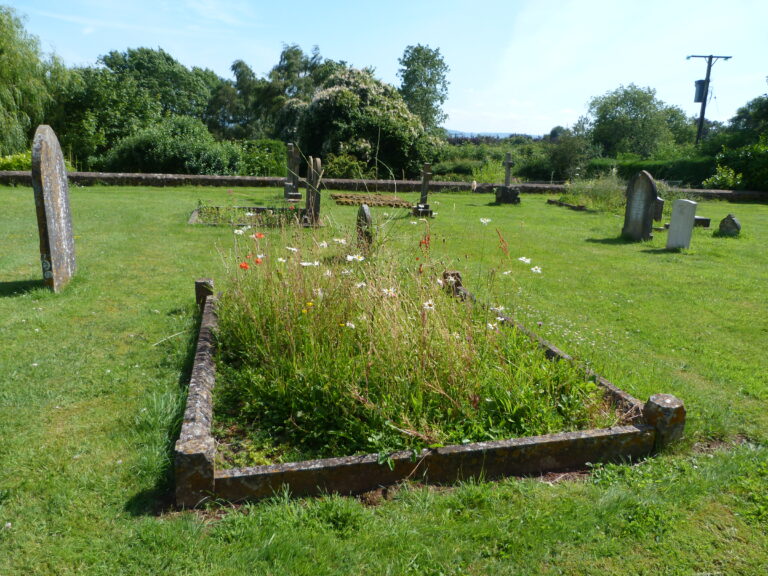 Graveyard SJ